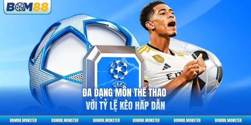 Đa dạng môn thể thao với tỷ lệ kèo hấp dẫn