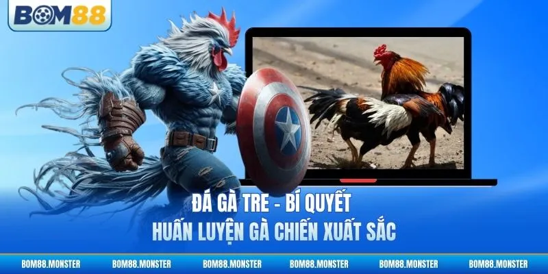 Đá Gà Tre - Bí Quyết Huấn Luyện Gà Chiến Xuất Sắc