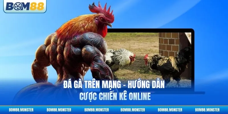 Đá Gà Trên Mạng - Hướng Dẫn Cược Chiến Kê Online