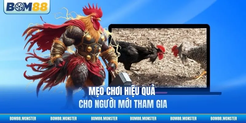 Mẹo chơi hiệu quả cho người mới tham gia