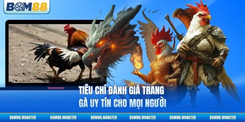 Tiêu chí đánh giá trang đá gà uy tín cho mọi người