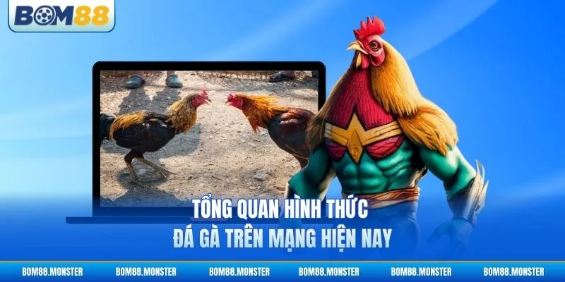Đá Gà Trên Mạng - Hướng Dẫn Cược Chiến Kê Online 2 Tổng quan hình thức đá gà trên mạng hiện nay